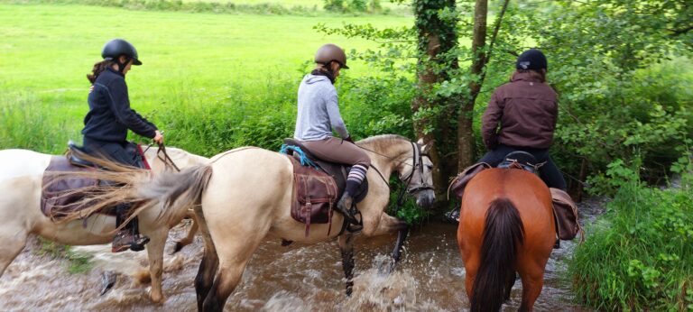 Lire la suite à propos de l’article L’équitation et la nature, deux métiers en un