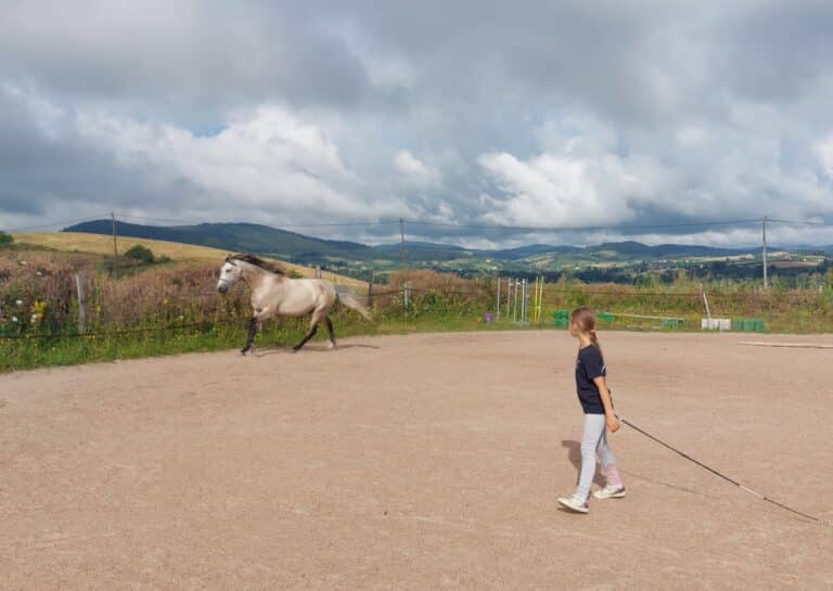 Lire la suite à propos de l’article Le mouvement chez le cheval