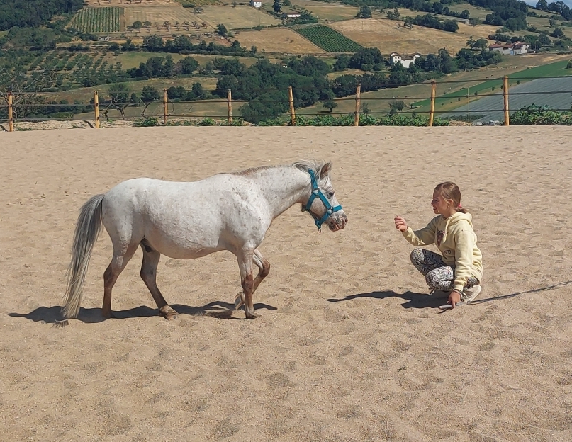 enfant-cheval