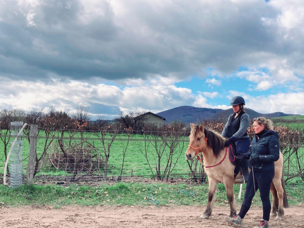enseignement-equitation-individuel