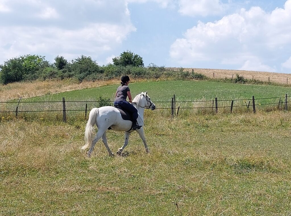 equitation-pre